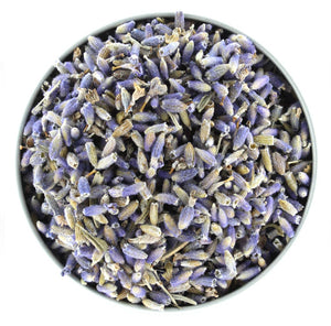 Organic Culinary Lavender